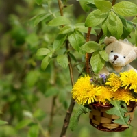 Summer decoration with teddy bear