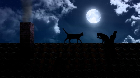 On the roof - moon, silhouette, cat, pisici, black, fantasy, roof, full, cloud, blue, luminos, animal, luna