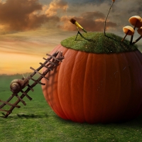 Fantasy pumpkin