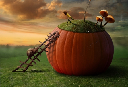 Fantasy pumpkin - autumn, mushroom, pumpkin, funny, fantasy, snail, orange, green, house