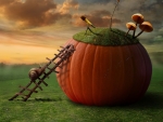 Fantasy pumpkin