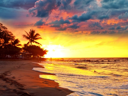 Beach Sunrise - clouds, trees, nature, sea, sunrise, ocean, reflection