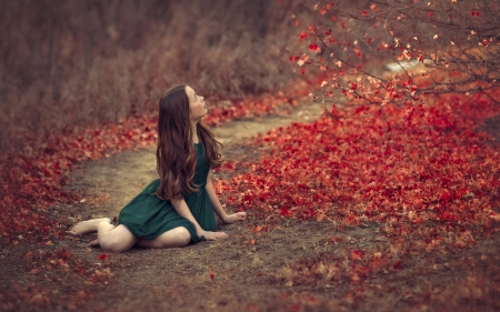 The pretty and autumn - forest, girl, pretty, autumn