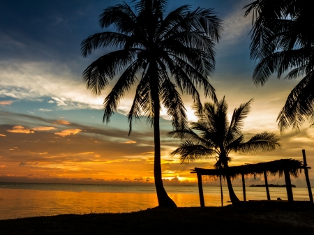 Beach Sunset - clouds, trees, sunset, nature, beach, sky, palm