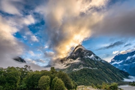 Milford Sound - nature, fun, forest, mountain, cool