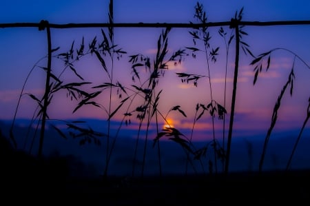 Summer Sunset - sky, clouds, sunset, mountains, summer