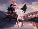 pegasus