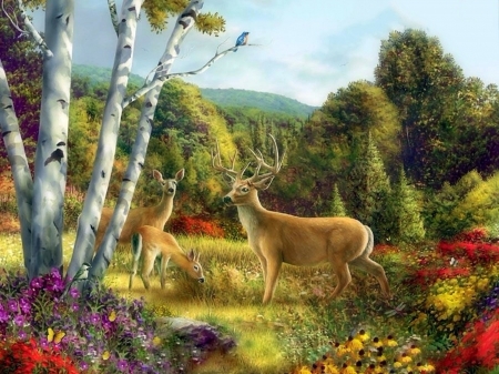 Somewhere Parks - attractions in dreams, trees, parks, deer, spring, nature, love four seasons, flowers, butterfly designs, paintings, birds