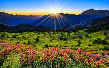 Mountain sunrise - rays, sky, mountain, summer, glow, beautiful, flowers, sunrise, grass