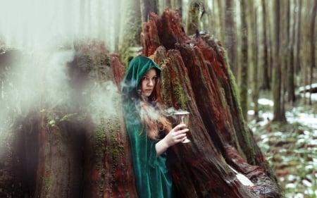 Sorceress - sorceress, girl, forest, creative, witch, fantasy, green, woman, model, woods