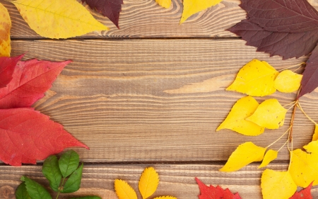 Happy Autumn! - yellow, autumn, red, green, wood, brown, leaf, texture