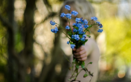 For you! - summer, flower, child, bouquet, hand, blue