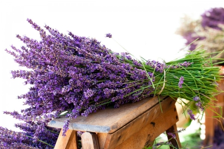 beautiful lavender bouquet - flowers, lavender, bouquet, beautiful