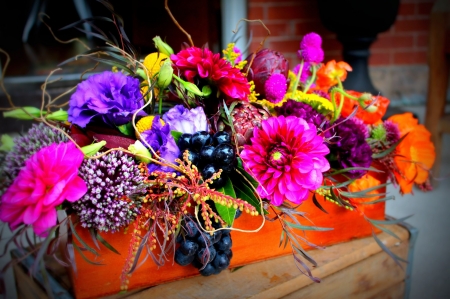 Flower Basket - blossoms, carnation, dahlia, flowers, colors