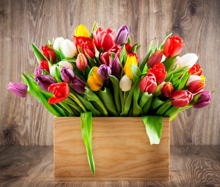 For you - tulips, flowers, many tulips, box