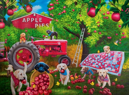 Garden helpers - farm, trees, colorful, work, apples, l, help, sweet, garden, cute, puppies