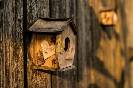 Birdhouse - home, photography, birdhouse, outdoor, cute, little