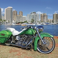 2013-Harley-Davidson-Custom-Softail-Deluxe