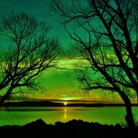 Green Sunset