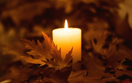 Autumn's Glow - Autumn, Fall, candle, flame, leaves