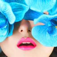 Lip and Blue Orchids