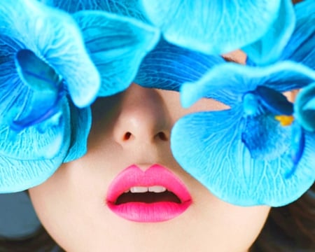 Lip and Blue Orchids - flowers, lips, orchids, blue