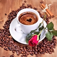 Coffee and Rose