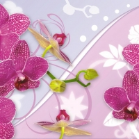 Orchids background