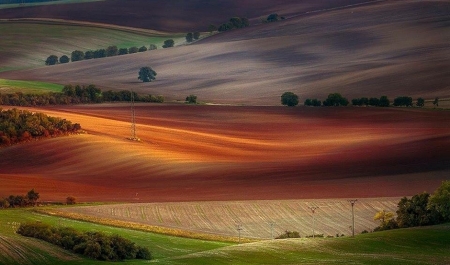 Splendid our planet - nature, land, amazing, fields