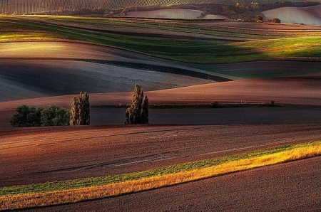 Beautiful Fields - field, nature, land, amazing