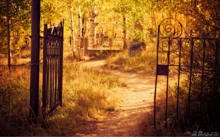 Heavens gates - cemetery, nature, gates, autumn