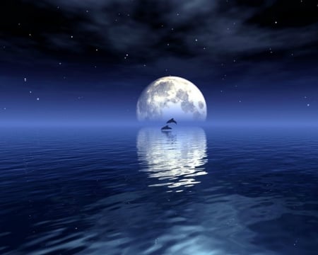 Magical Night - moon, sea, dolphins, sky