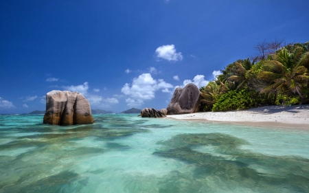 Beach on a Seychelles Island - seychelles, nature, island, beach