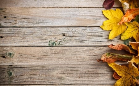 Happy Autumn! - yellow, autumn, wood, orange, card, leaf