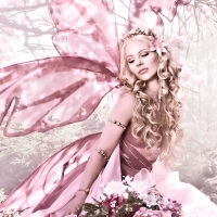 Pink Fairy