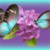 BLUE BUTTERFLIES ON LILACS