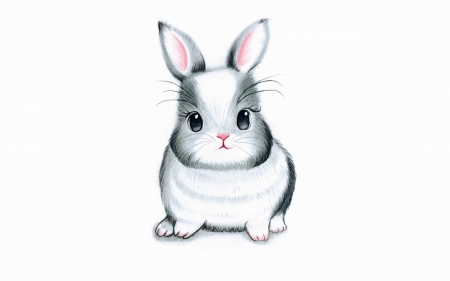 Little bunny - white, vector, rabbit, grey, pink, bunny