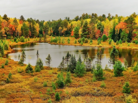 Autumn - lake, trees, nature, autumn