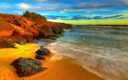 Beach Sunset - sand, moss, rocks, beach, trees, sunset, nature, waves