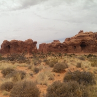 Herd of Elephants, Double Arch, Moab, Utah