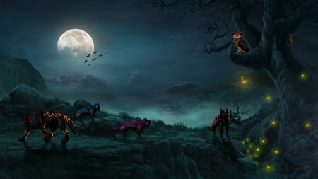 wolf wallpaper - wolf, mystical, mist, background, night, full moon, dark