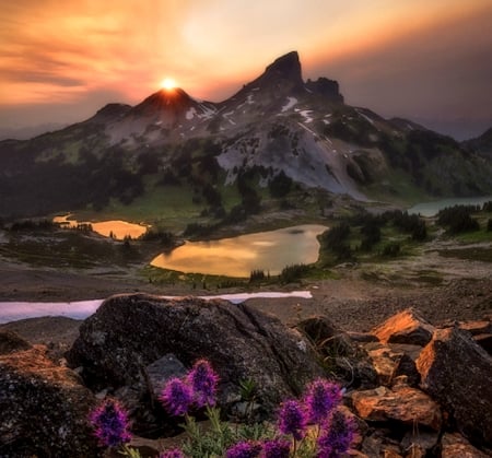 The Outbreak, Vancouver, Canada - pretty, Vancouver, Nature, Canada