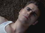 Paul Wesley as Stefan