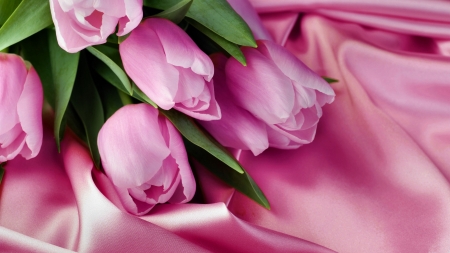 Romantic Tulips FC - love, wide screen, beauty, photography, tulips, floral, beautiful, romance, photo, flower