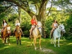 4 Of A Kind Cowgirls