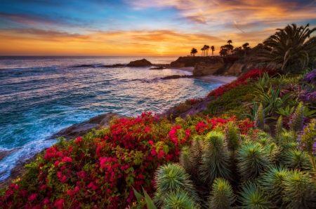 Sunset - sea, amazzing, sunset, beach