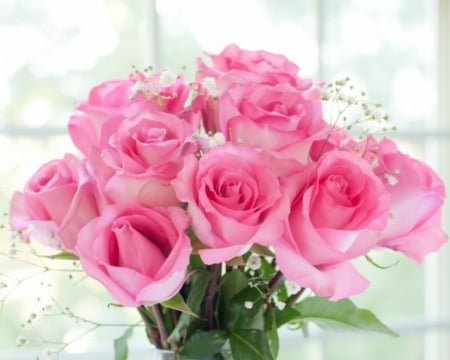 Pink Roses - flowers, roses, pink, bloom