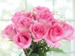 Pink Roses