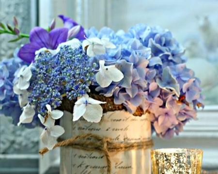 Lovely Flowers - flowers, petals, bloom, blue