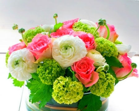 Lovely Flowers - colorful, flowers, bloom, petals